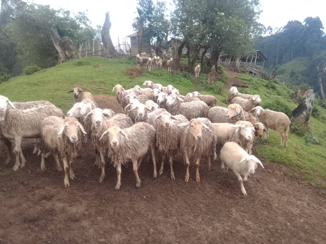 Agropastoral et environnement